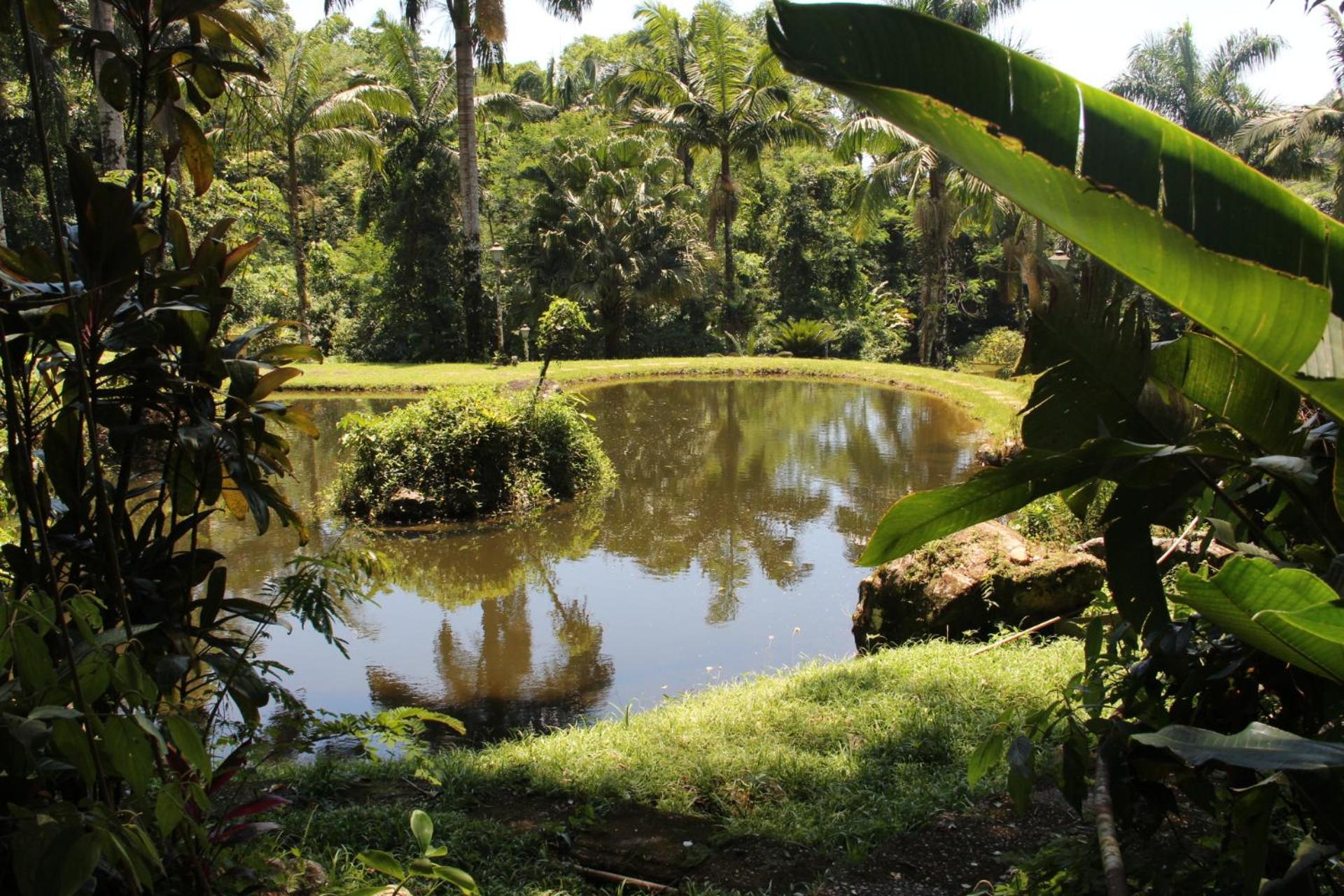 Sitio Arariba Pensão 3*