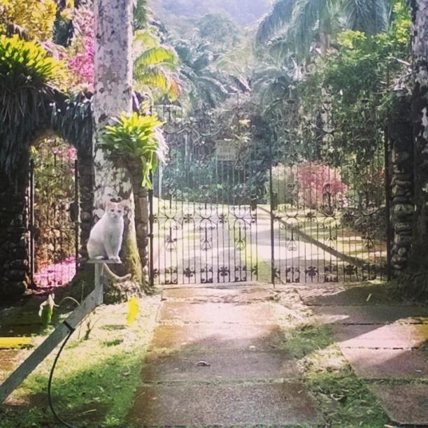 Sitio Arariba