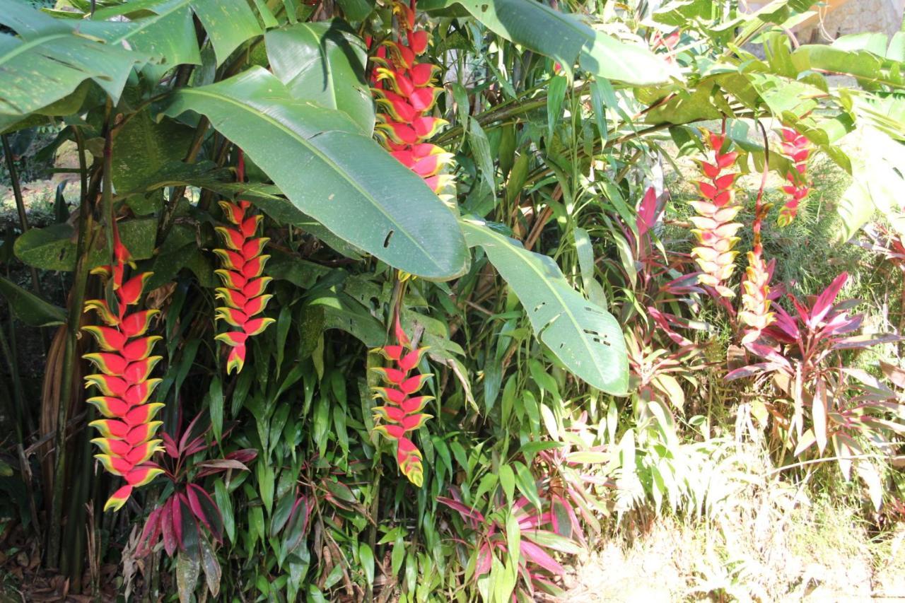 Sitio Arariba Pensão Ubatuba