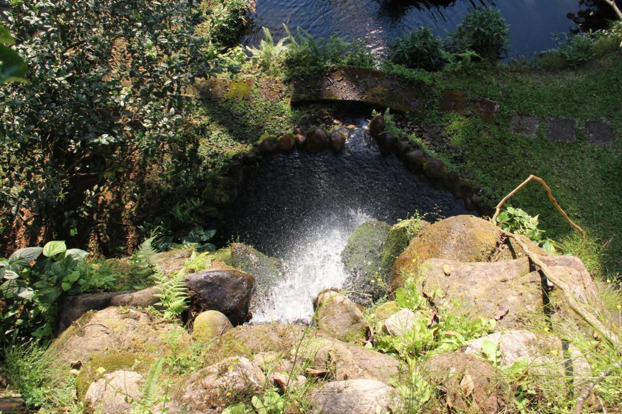 Sitio Arariba